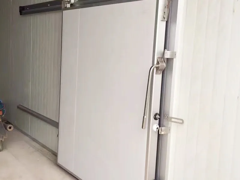 Medium-sized Cold Storage Sliding Doors