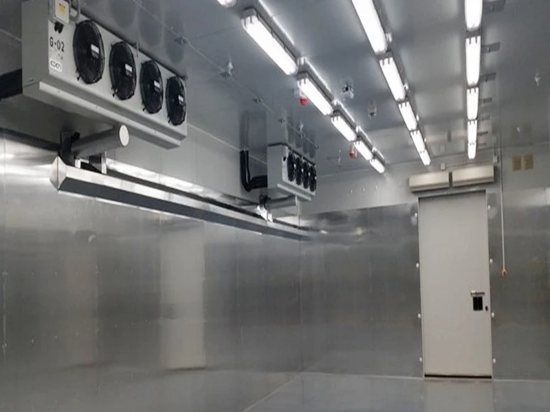 Quick-frozen Cold Storage
